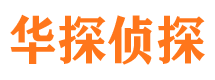 武川侦探